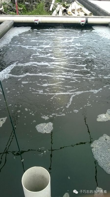 中國養殖基地 yzjidi.com