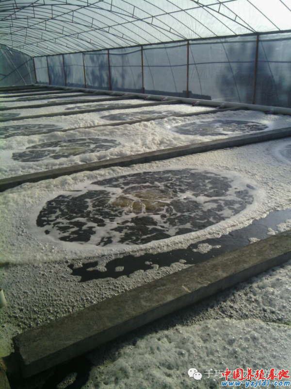 中國養殖基地 yzjidi.com