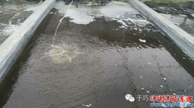 中國養殖基地 yzjidi.com