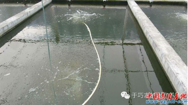 中國養殖基地 yzjidi.com