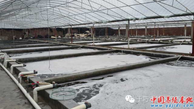 中國養殖基地 yzjidi.com