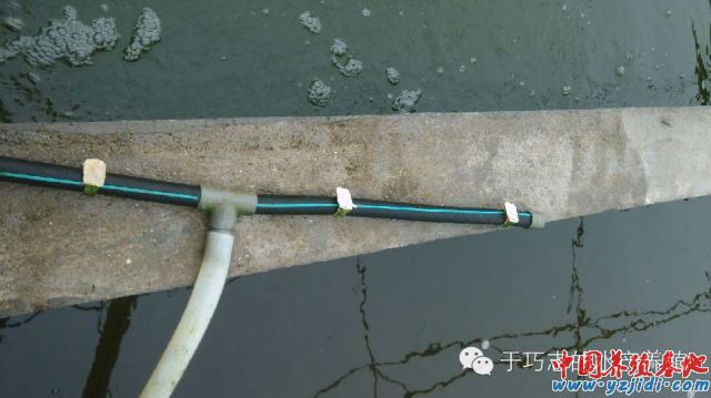 中國養殖基地 yzjidi.com