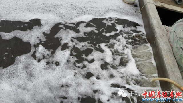中國養殖基地 yzjidi.com