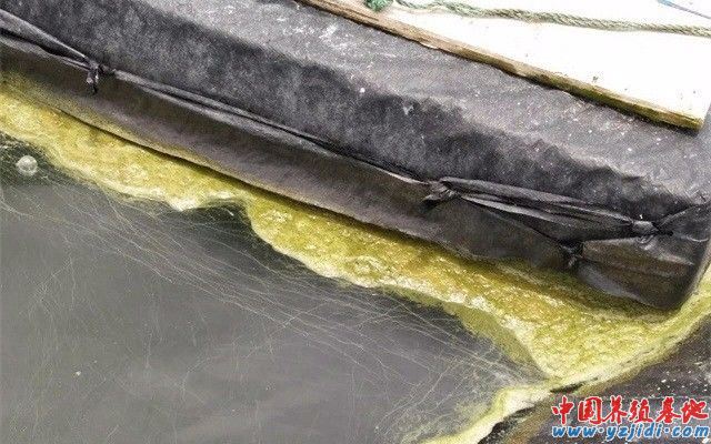 中國養殖基地 yzjidi.com
