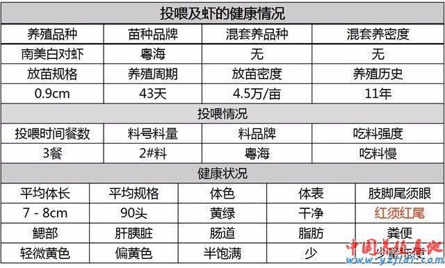 中國養殖基地 yzjidi.com