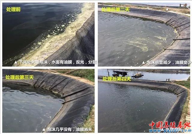 中國養殖基地 yzjidi.com