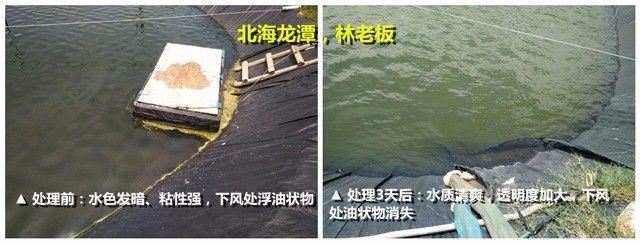 中國養殖基地 yzjidi.com