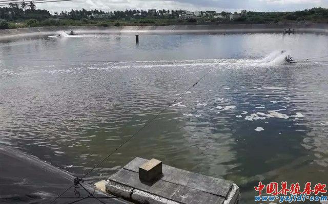 中國養殖基地 yzjidi.com