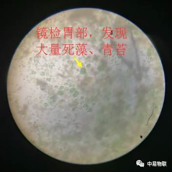 中國養殖基地 yzjidi.com