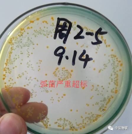 中國養殖基地 yzjidi.com