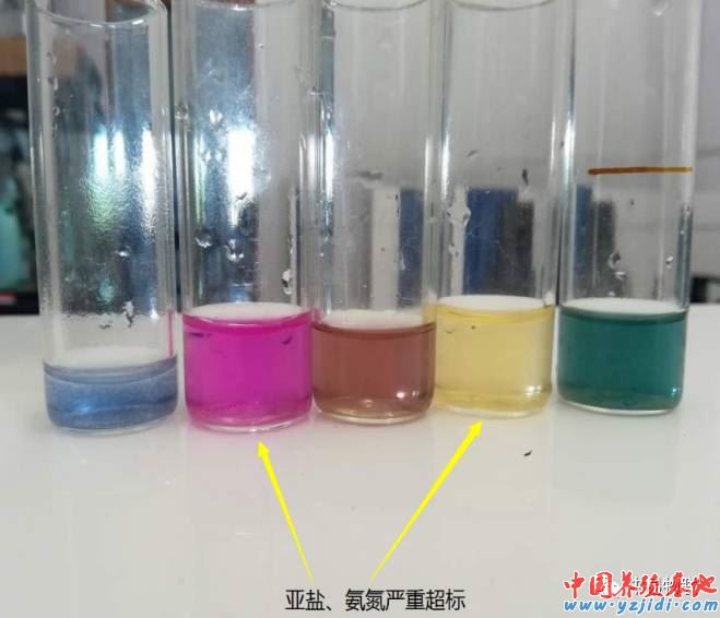 中國養殖基地 yzjidi.com