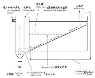 中國養殖基地 yzjidi.com