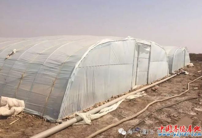 中國養殖基地 yzjidi.com