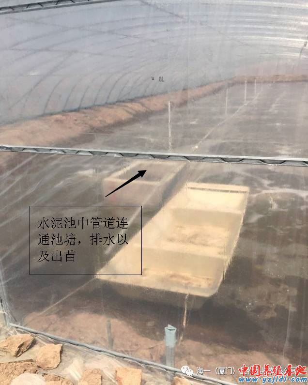 中國養殖基地 yzjidi.com