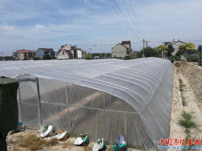 中國養殖基地 yzjidi.com