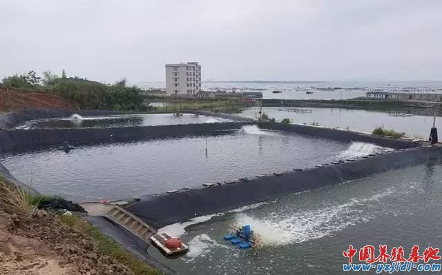 中國養殖基地 yzjidi.com