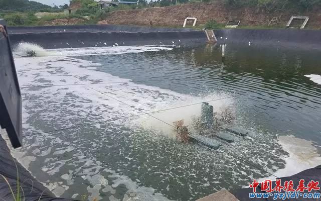 中國養殖基地 yzjidi.com