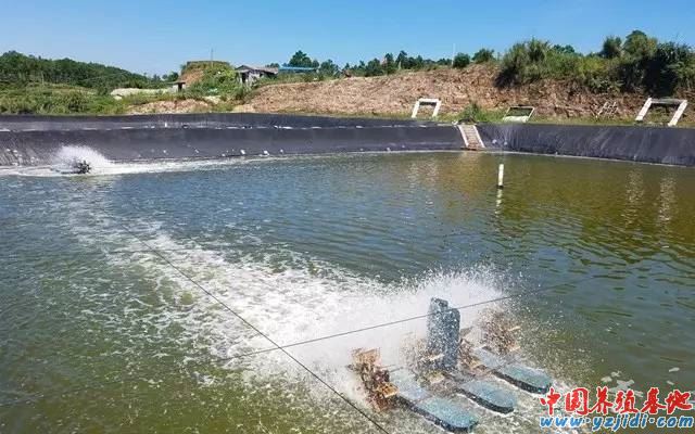 中國養殖基地 yzjidi.com