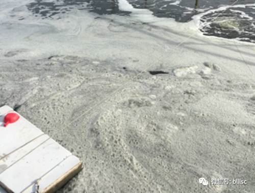 中國養殖基地 yzjidi.com