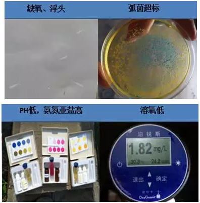 中國養殖基地 yzjidi.com