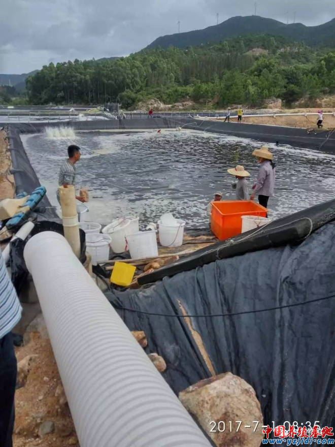 中國養殖基地 yzjidi.com