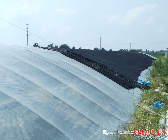 中國養殖基地 yzjidi.com
