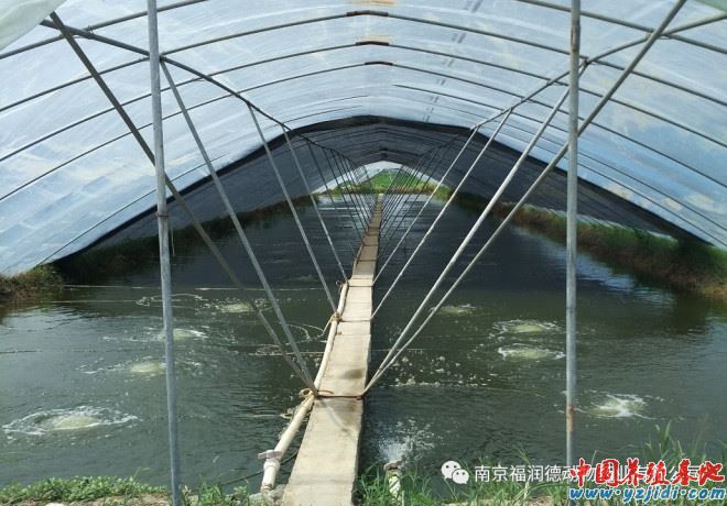 中國養殖基地 yzjidi.com