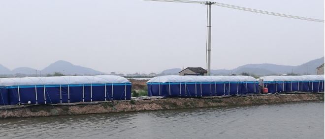 中國養殖基地 yzjidi.com