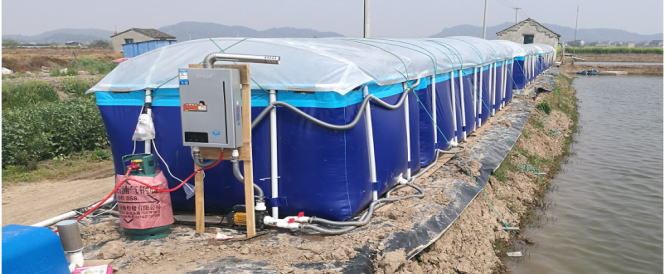 中國養殖基地 yzjidi.com