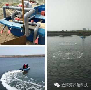 中國養殖基地 yzjidi.com