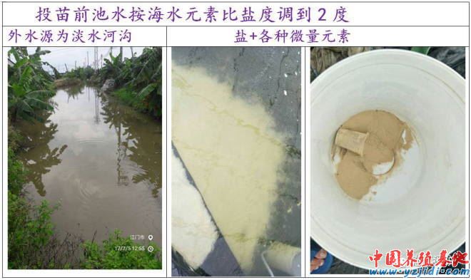 中國養殖基地 yzjidi.com