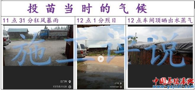 中國養殖基地 yzjidi.com