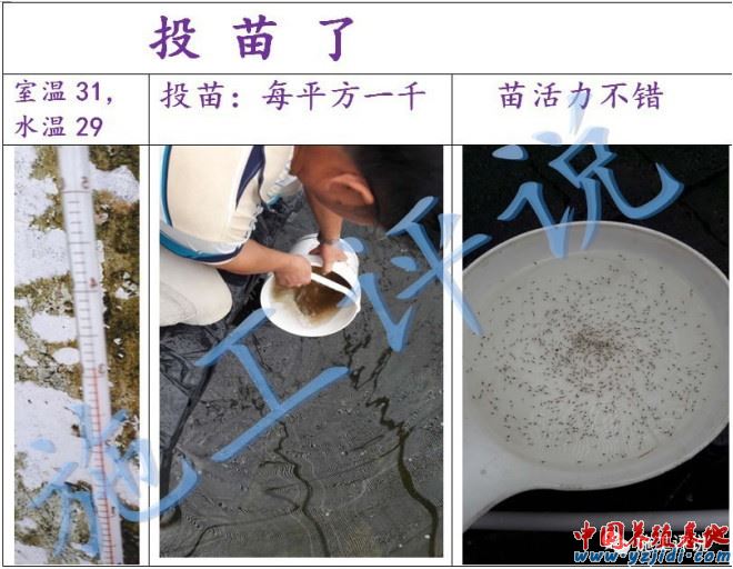 中國養殖基地 yzjidi.com