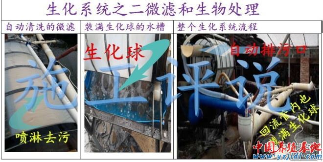 中國養殖基地 yzjidi.com