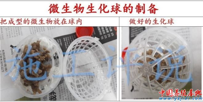 中國養殖基地 yzjidi.com