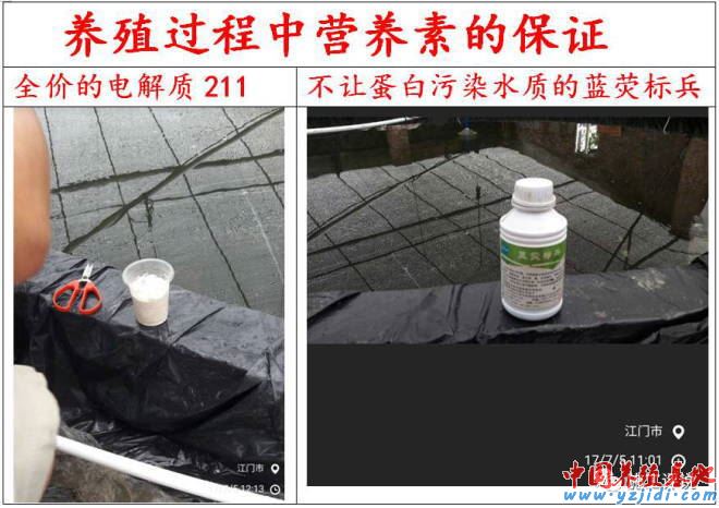 中國養殖基地 yzjidi.com