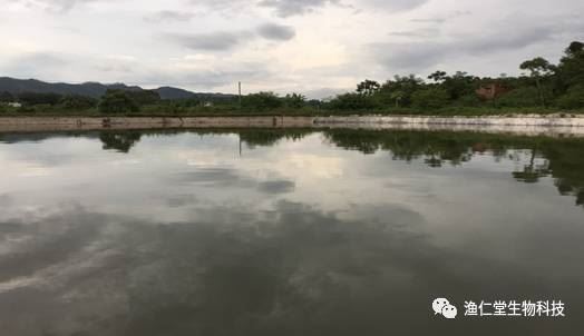 中國養殖基地 yzjidi.com
