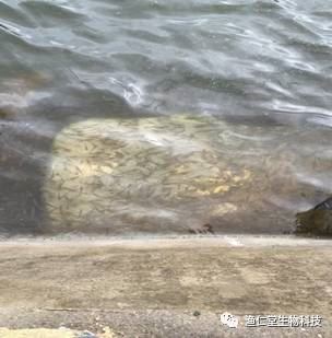 中國養殖基地 yzjidi.com