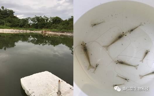 中國養殖基地 yzjidi.com