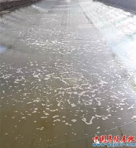 中國養殖基地 yzjidi.com