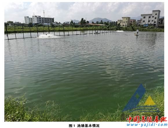 中國養殖基地 yzjidi.com