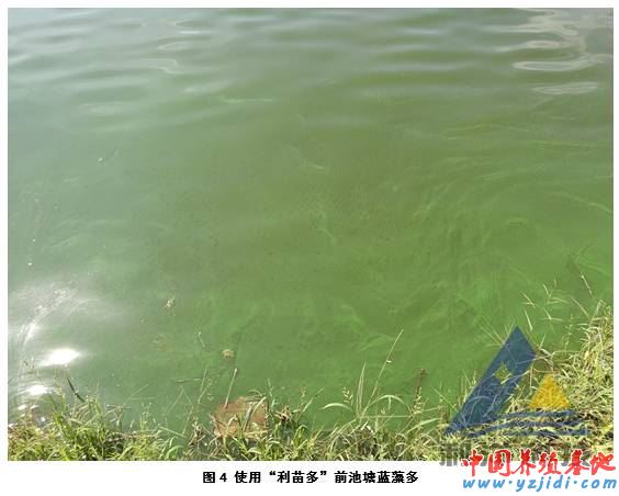 中國養殖基地 yzjidi.com