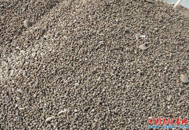 中國養殖基地 yzjidi.com