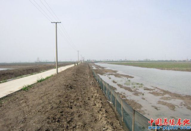 中國養殖基地 yzjidi.com
