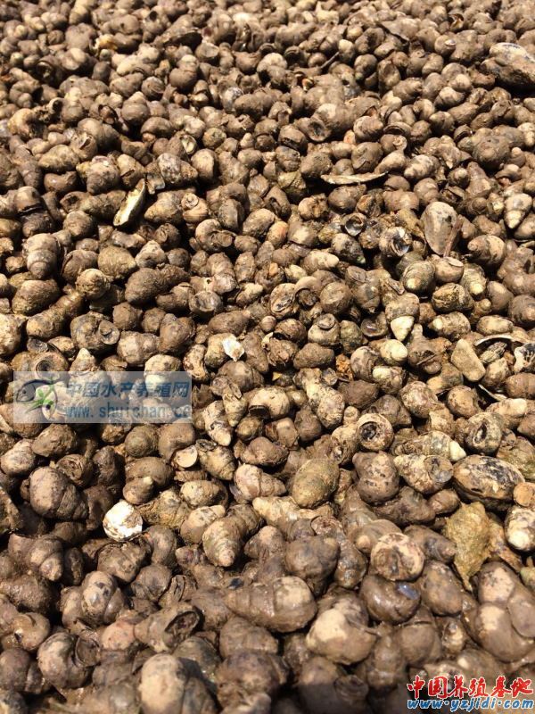 中國養殖基地 yzjidi.com