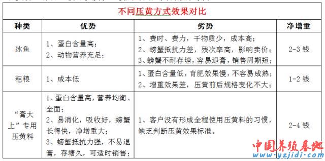中國養殖基地 yzjidi.com