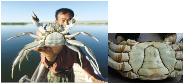 中國養殖基地 yzjidi.com