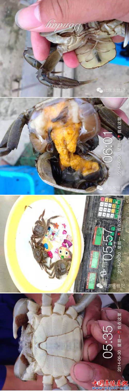 中國養殖基地 yzjidi.com