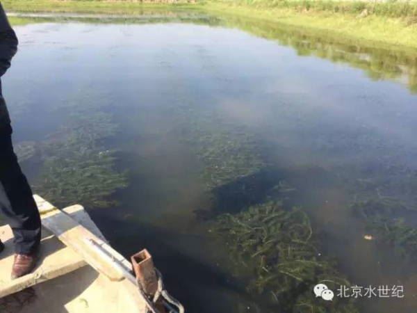 中國養殖基地 yzjidi.com
