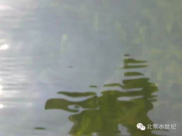 中國養殖基地 yzjidi.com
